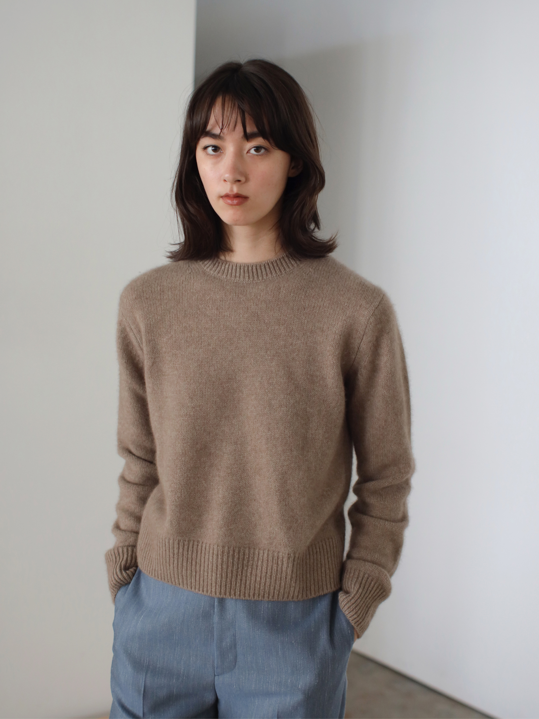 AURALEE BABY CASHMERE KNIT P/O 21AW - トップス